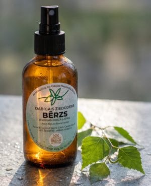 Bērza hidrolāts (ziedūdens)