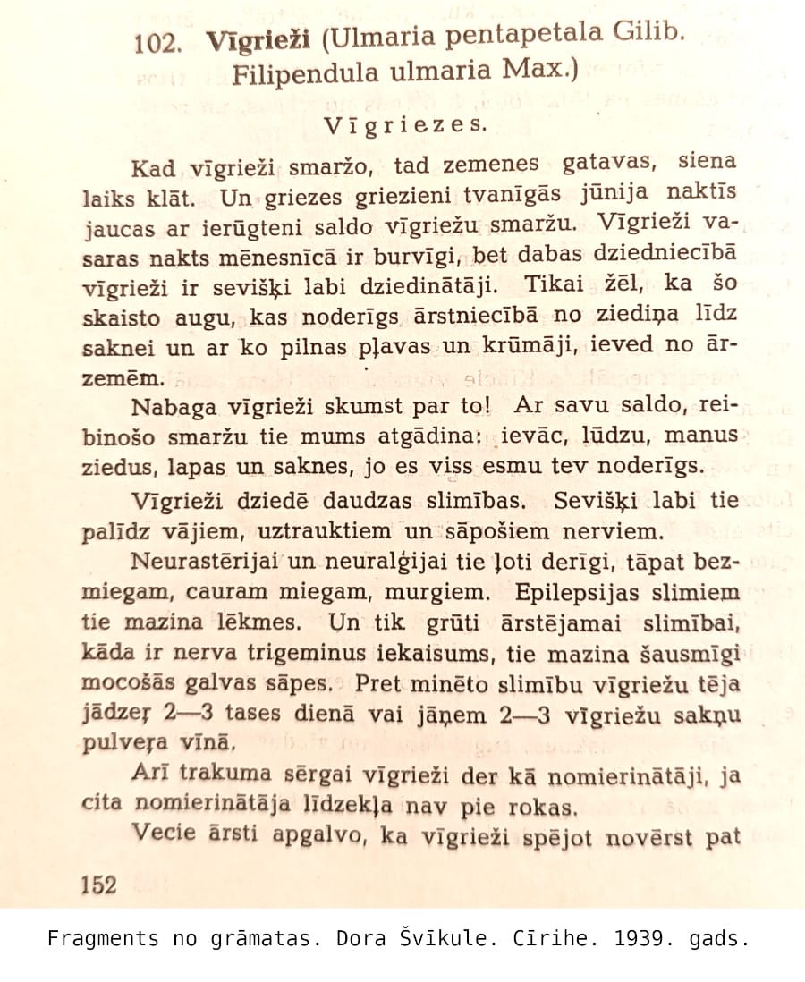 Vīgriezes hidrolāts (ziedūdens) - Image 6