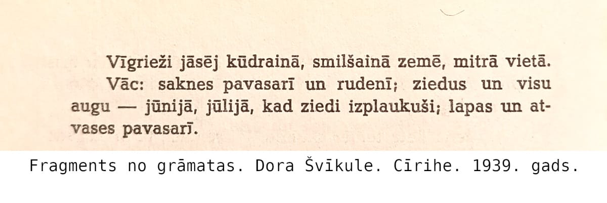 Vīgriezes hidrolāts (ziedūdens) - Image 8