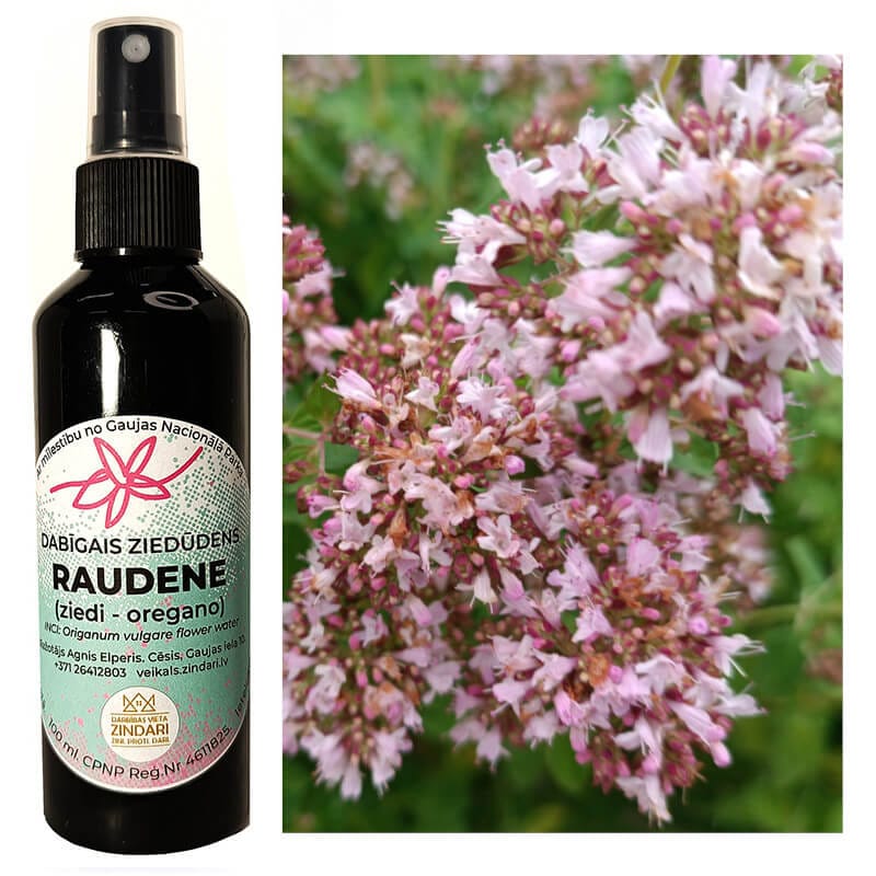 Raudenes (oregano) hidrolāts (ziedūdens) - Image 3