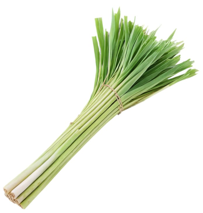 Citronzāles hidrolāts (ziedūdens) - Image 5