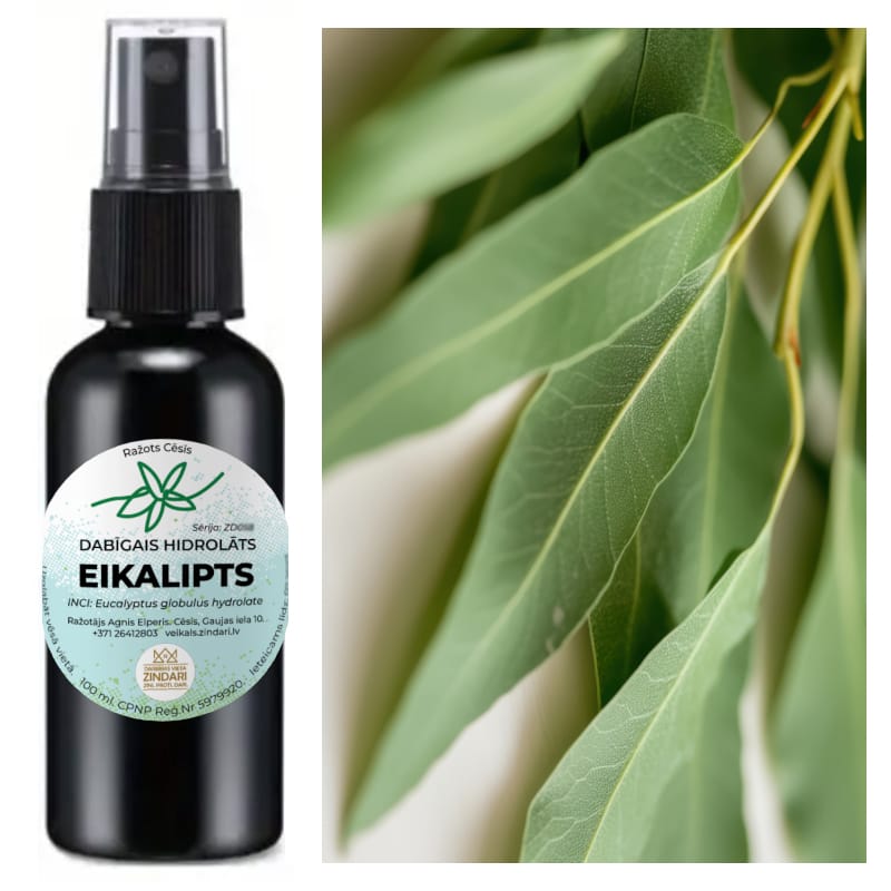 Eikalipta hidrolāts (ziedūdens) - Image 3