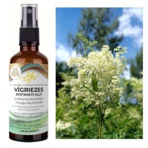 Vīgriezes macerāts vīnogu kauliņu eļļā – Filipendula ulmaria